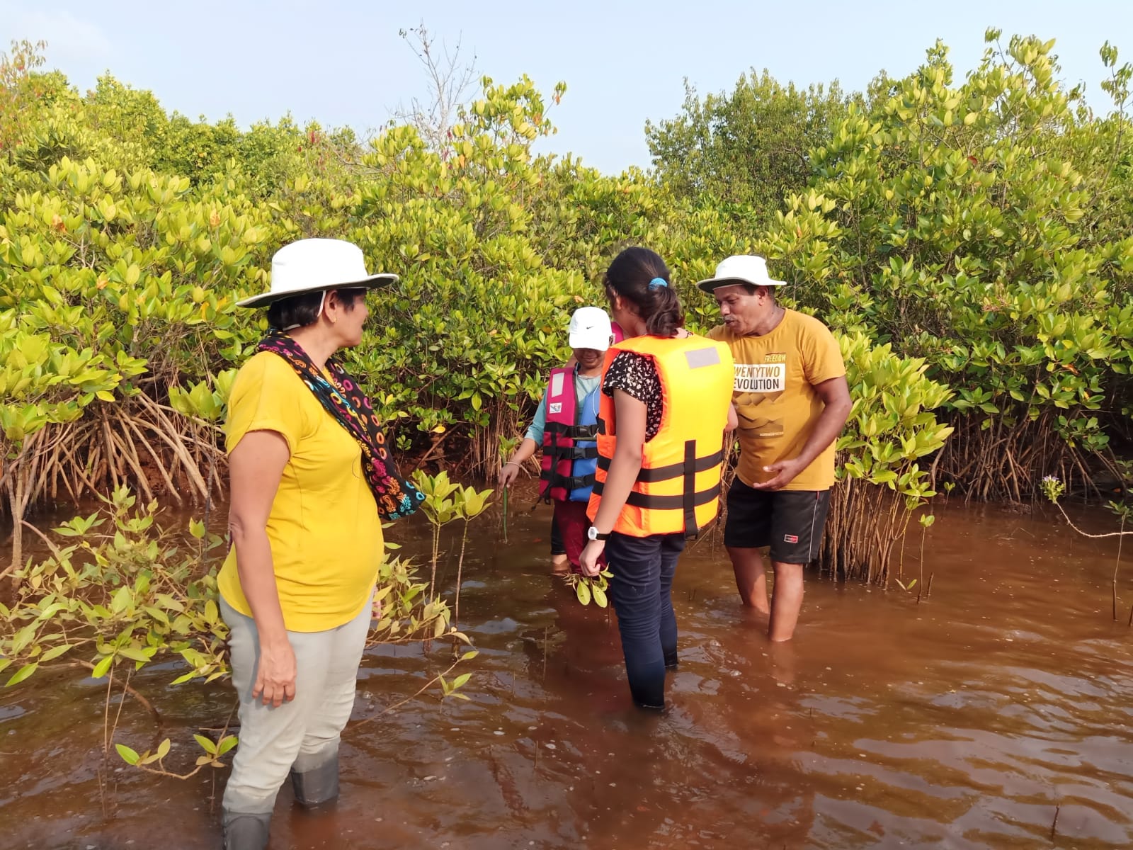 Wetland survey